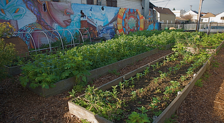 Nikki Henderson, the executive director of People’s Grocery, explained how gardens, murals, goats and chickens can transform unloved industrial spaces and drive away crime.