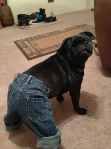 JeanMemes: A Look at Funny Denim-Themed Memes - Levi Strauss & Co : Levi  Strauss & Co