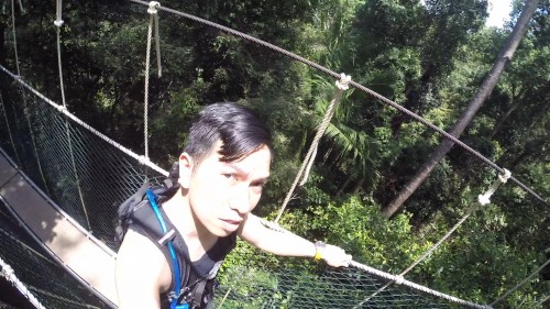 Tree Top Selfie