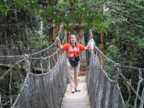 Canopy-Meg-Bridge