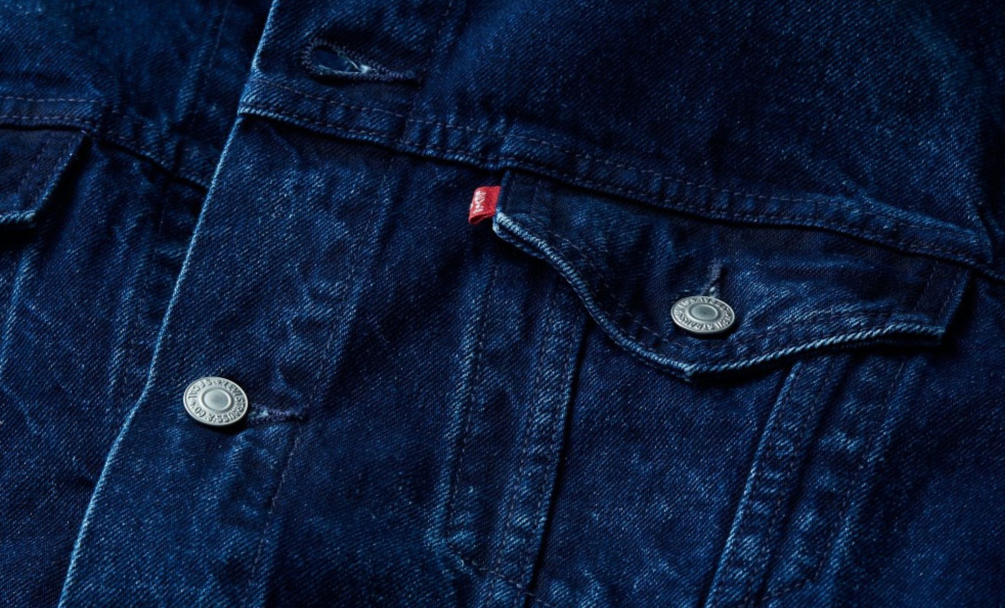 Investing in Natural Indigo at Scale - Levi Strauss & Co : Levi Strauss & Co