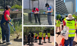 A four-image collage of LS&Co. employee volunteers at projects throughout San Francisco. Left: a person in a red volunteer shirt and Levi's® overalls shovels dirt at a dog park. Middle top: two volunteers repaint the top of a black barbed wire fence. Middle bottom: a group of volunteers walk through downtown San Francisco wearing neon safety vests carrying orange trash bags. Right: the back of an employee wearing a sun hat and a neon safety vest holding a canvas tote bag.