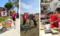 Letf: LS&Co. employee volunteer poses with a wheelbarrow of mulch in front of a YMCA as they volunteer for LS&Co.'s annual Community Day. Middle: two LS&Co. employees in Prague pose with a rake and a therapy donkey as they volunteer for Community Day. Right: LS&Co. volunteers sit at a table and prepare bandanas for local farmworkers. 