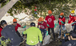 LS&Co. employee Volunteers cleaning up the forest in Mexico City.